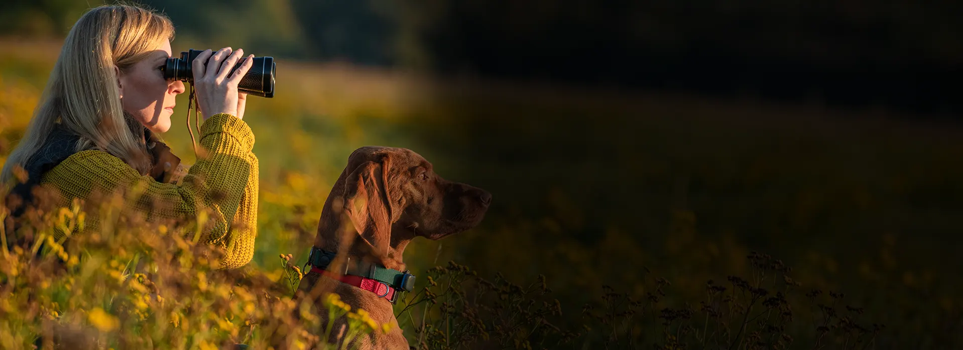 Comprendre le langage de mon chien