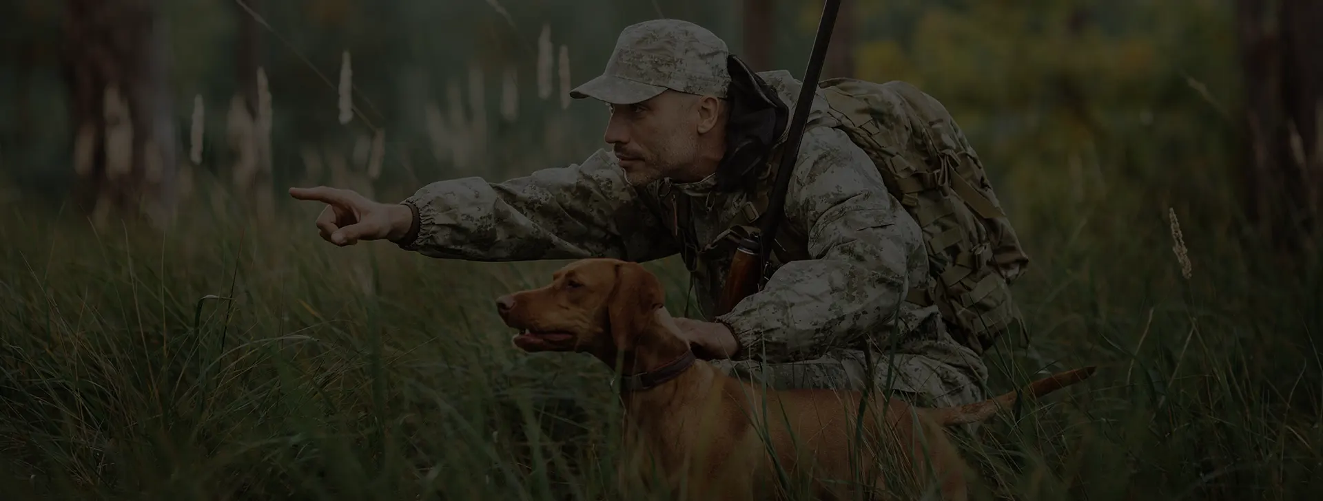 Maîtrisez l'art de l'éducation canine
